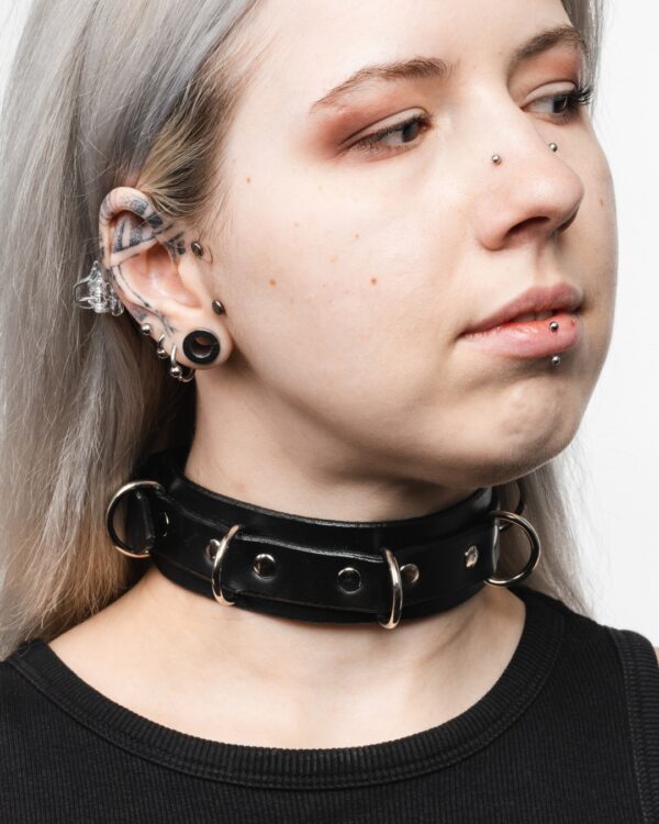 Elegance II. - Image 4